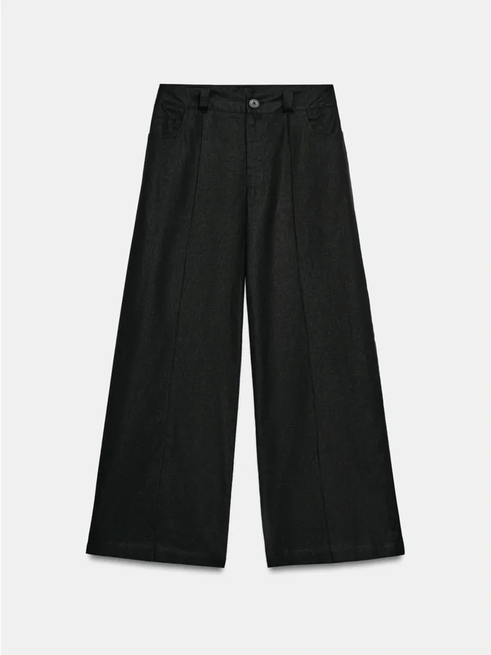 Zara pants made